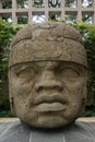 Olmec stone head Royalty Free Stock Photo