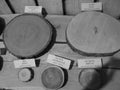 Blackwhite image - Close-up on five wooden circles of broadleaf trees at Flora Exposition