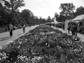 Blackwhite image - Main street at Flora Exposition with many tourists and long flowerbed in the middle with multiple species of va