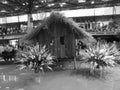 Grey shaded - Malay indigenous village house replica at Flora exposition above pool surrounded by flowers and tourists, backside v