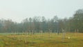 OLOMOUC, CZECH REPUBLIC, DECEMBER 15, 2019: Planting fruit trees on meadow near floodplain forest. White protects