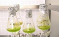 OLOMOUC, CZECH REPUBLIC, MARCH 21, 2018: Storage, oxygenation laboratory bottle sample preparation plant hale cress mouse-ear