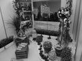 Retro image - Various flowers exposition from gardening students at Flora Exposition.