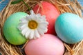 Easter and colored eggs Royalty Free Stock Photo