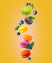 ÃÂ¡olored macaroons with leaves of mint and blueberries. Levitating colored macaroons with different flavors on yellow background