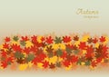 Colorful autumn season and holiday background.