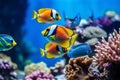 Colorful exotic fish and corals