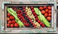 Colorful fruits picture in frame Royalty Free Stock Photo