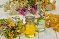 ÃÂ¡olorful herbs on a white background with bottles of oil and tinctures.