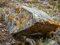 Colorful moss grows on bare rocks in the mountains of Altai, Russia Royalty Free Stock Photo