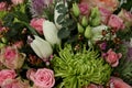 Rich bouquet of chic flowers Royalty Free Stock Photo