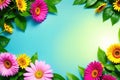 olorful Summer flowers frame background top view