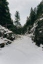 Hare tracks on the frozen river snow