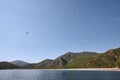 Oludeniz coastline with flying paragliders in sky Royalty Free Stock Photo
