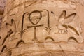 ÃÂ¡olumn in Karnak Temple, Luxor, Egypt Royalty Free Stock Photo