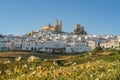 Olvera Skyline at sunset with wildflowers - Olvera, Andalusia, Spain Royalty Free Stock Photo