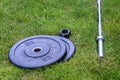 Olympic barbell with black weight plates on a green lawn, ready for an outdoor workout