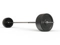 Olympic Barbell Weight