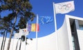 Olympic flag