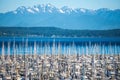 Olympic mountains and boat marina in puget sound washington state