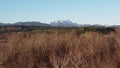 Olympic mountains in Washington state winter time