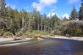 Olympic National Park, Cedar Creek Estuary at Ruby Beach with Temperate Pacific Rainforest, Washington State, USA Royalty Free Stock Photo