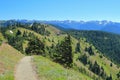Olympic National Park, Hiking Trail on Hurricane Ridge with Mountain Panorama, Pacific Northwest, Washington State, USA Royalty Free Stock Photo