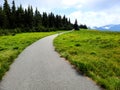 Olympic National Park Hurricane Ridge Road trail Royalty Free Stock Photo