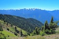 Olympic National Park with Mountains from Hurricane Ridge, Pacific Northwest, Washington State Royalty Free Stock Photo