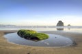 Olympic National Park shore