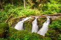 Olympic National Park