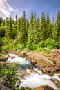 Olympic National Park