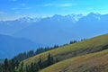 Olympic National Park UNESCO World Heritage Site with Mount Olympus from Hurricane Ridge, Pacific Northwest, Washington Royalty Free Stock Photo