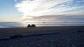 OLYMPIC NATIONAL PARK, USA, 03th OCTOBER 2014 - Ruby Beach near Seattle - Washington Royalty Free Stock Photo