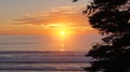 OLYMPIC NATIONAL PARK, USA, 03th OCTOBER 2014 - sunset at Ruby Beach near Seattle - Washington Royalty Free Stock Photo