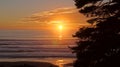 OLYMPIC NATIONAL PARK, USA, 03th OCTOBER 2014 - sunset at Ruby Beach near Seattle - Washington Royalty Free Stock Photo