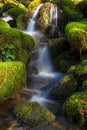 Olympic National Park, Washington State Royalty Free Stock Photo