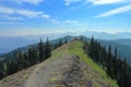 Hiking Trail through Misty Alpine Meadows near Hurricane Ridge, Olympic Mountains, Olympic National Park, Washington State, USA Royalty Free Stock Photo