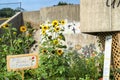 Olympic Stadium educational garden on the Esplanade Royalty Free Stock Photo