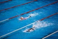 Olympic swimming pool with swimmer crawl race Royalty Free Stock Photo