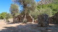 Olympos, one of the most humid port cities of ancient Lycia, Antalya, Turkey