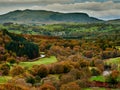 Upper River Dee Valley and Arenig Fawr in Autumn / Fall. Royalty Free Stock Photo