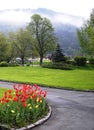 Neat green lawns and flower-bed with red and yellow tulips in Ossiach settlement, Austria