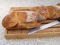 A loaf of freshly baked French bread Royalty Free Stock Photo