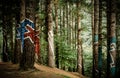 OMA, SPAIN - Jun 05, 2016: Silhouettes on men in painted forest