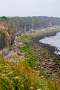 Omaha Beach is one of the five Landing beaches in the Normandy l