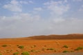 Oman desert scene Royalty Free Stock Photo