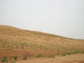 Oman desert at sunset in the Wahiba sand desert