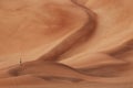 Oman: Empty quarter