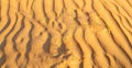 in oman the old desert and the empty quarter abstract texture l Royalty Free Stock Photo